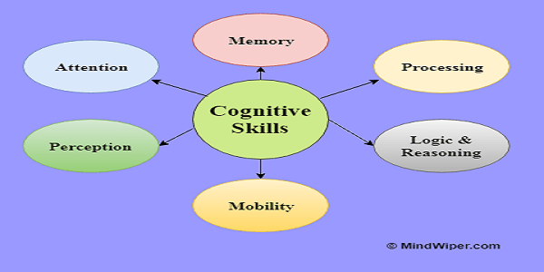 Cognitive Skills The list of Cognitive Capabilities MindWiper