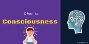 What is Consciousness? 3 States and 5 Functions of the Conscious Mind