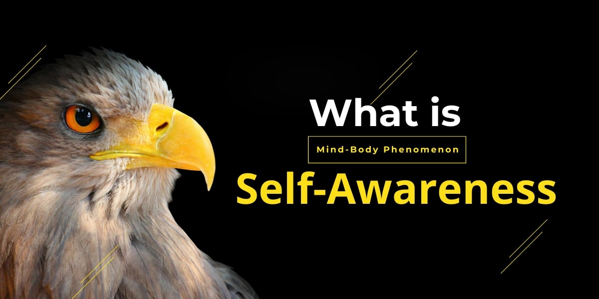 What is Self-Awareness? The Mind-Body Phenomenon